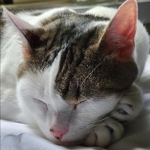 Meet your Posher, Isabella